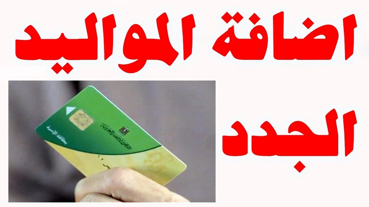 افرح هتضيف عيالك خلاص .. إضافة المواليد الجدد على بطاقة التموين 2024