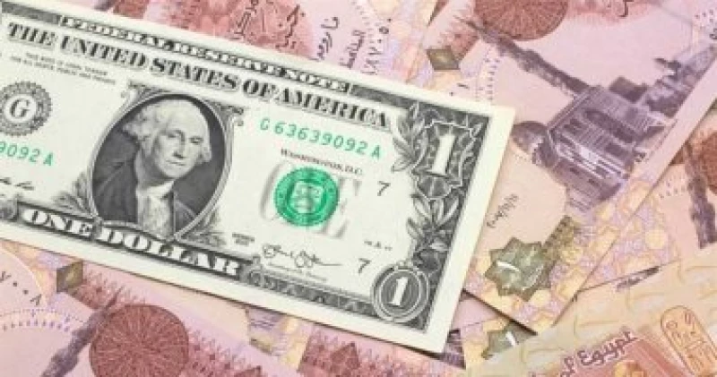 “تغييرات طفيفة” تعرف على سعر الدولار اليوم في مصر بعد عودة البنوك للعمل