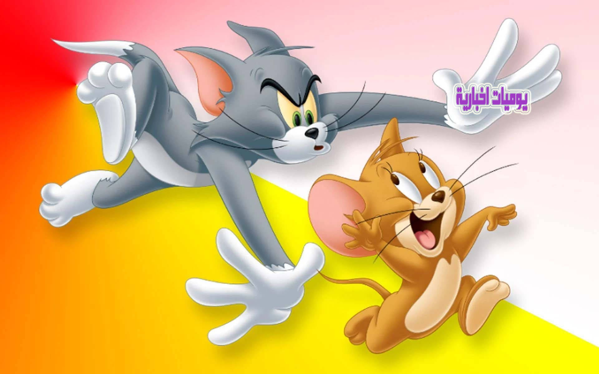 بضغطة واحدة جدد الآن تردد قناة توم وجيري 2024 للأطفال| لمشاهدة مغامرات القط والفأر صراع لا ينتهي Tom & Jerry