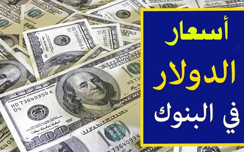 سعر الدولار اليوم 