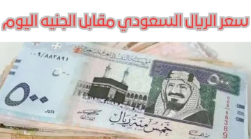 استقرار سعره.. سعر الريال السعودي في البنوك المصرية اليوم