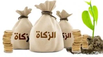 قيمة زكاة الفطر 2024