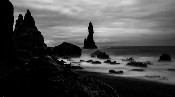 A hopeful Saudi citizen looking towards a bright horizon with the Ehsan platform logo subt