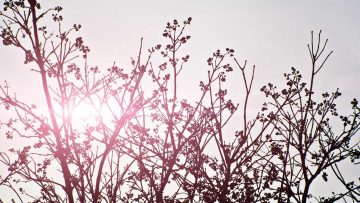 أنجز تسجيل طلابك بذكاء في نظام نور: دليلك الشامل لخطوات سهلة وتجنب الأخطاء الشائعة.