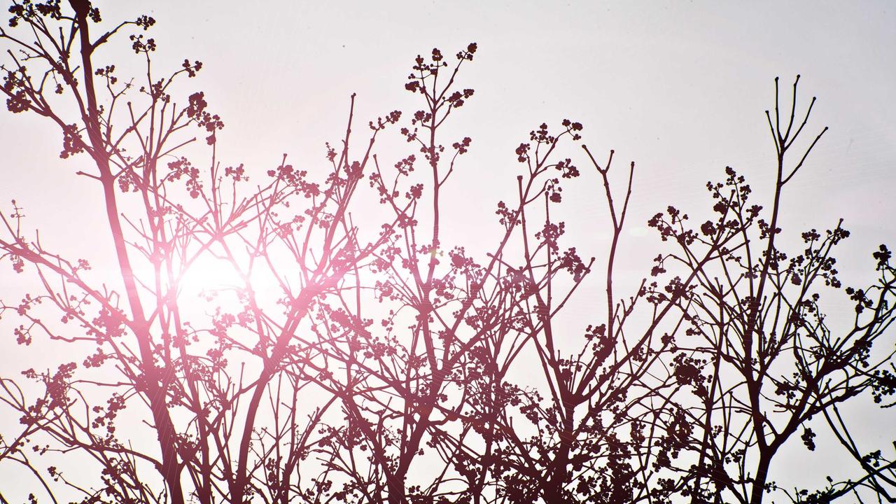 تسجيل الطلاب بنظام نور أصبح أسهل.. احصل على مقعد ابنك قبل فوات الفرصة الذكية