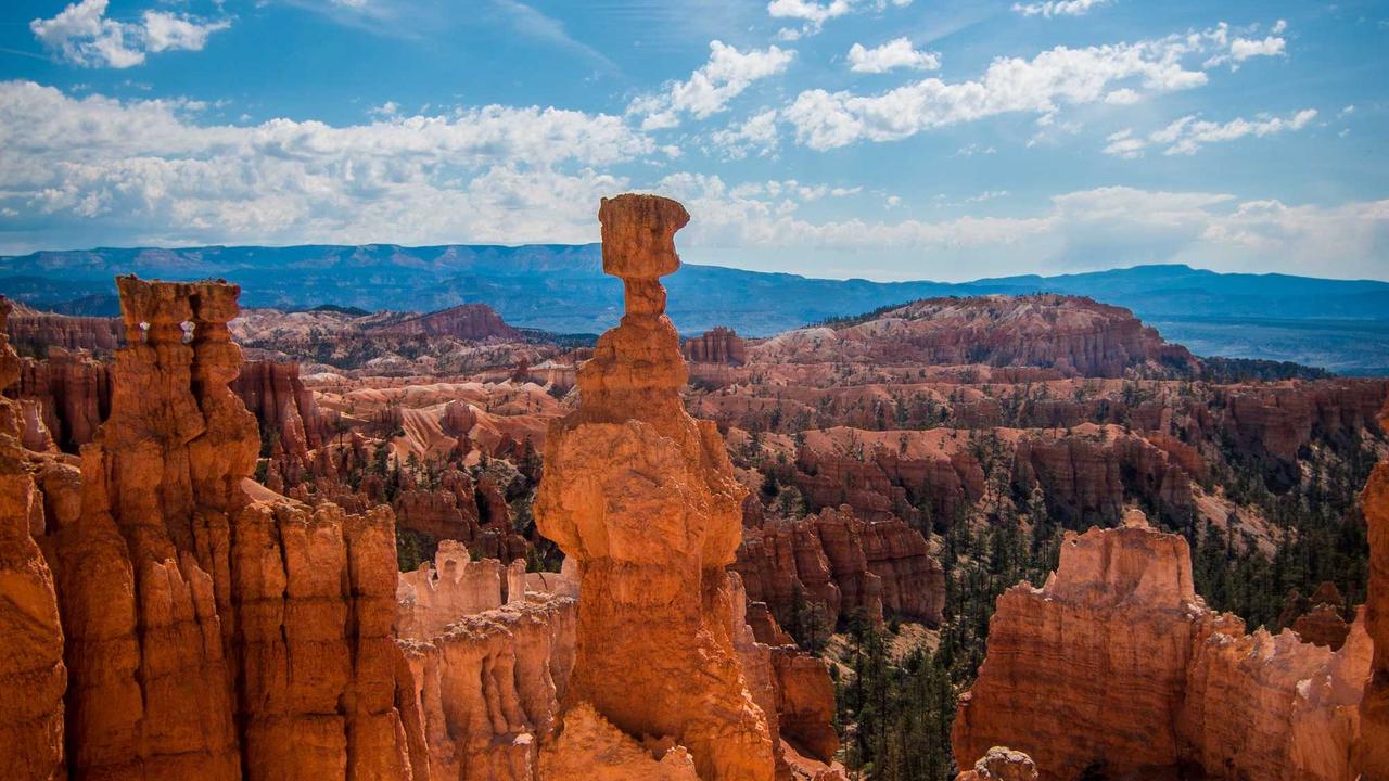 المشاهدة مضمونة مجاناً.. القنوات الناقلة لمباراة ريال مدريد تُعلن رسمياً عن تفاصيل البث المباشر