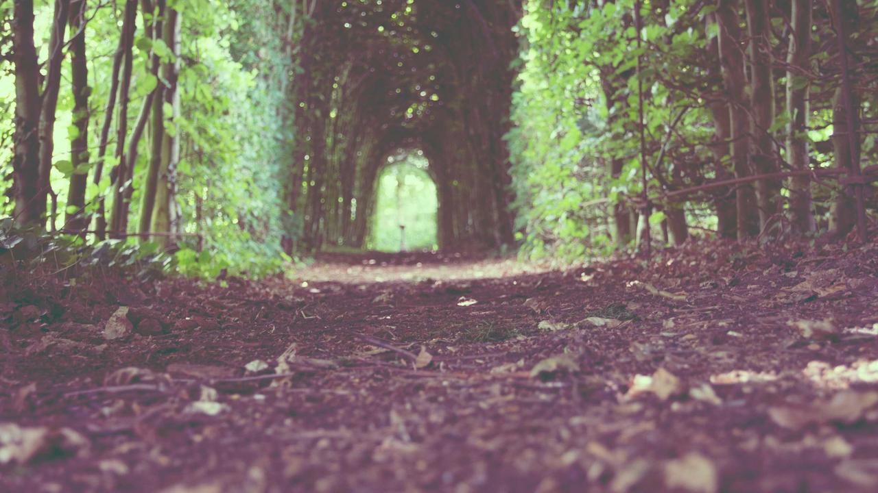 انطلق بحلمك التعليمي الآن.. وظائف جدارات تفتح لك أبواب مستقبلية تتجاوز الرواتب