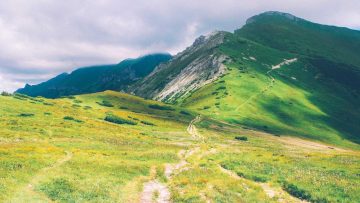 جهز نفسك لمتعة المشاهدة.. القنوات الناقلة لمباراة الأهلي المرتقبة على يوميات اخبارية.