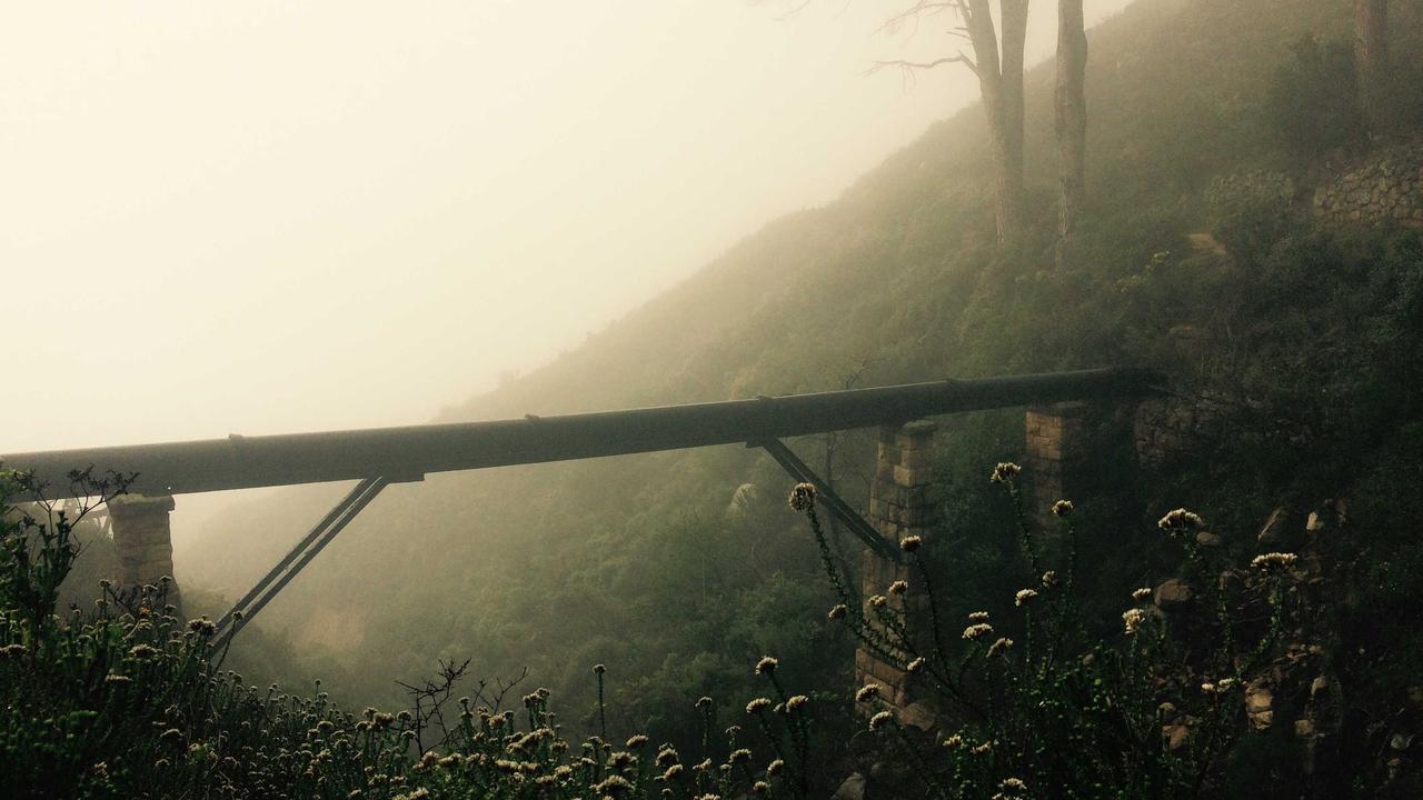 رحلة استكشاف مبهجة: أفضل البرامج التلفزيونية التي تثري عقول أطفالكم وتُشعل خيالهم