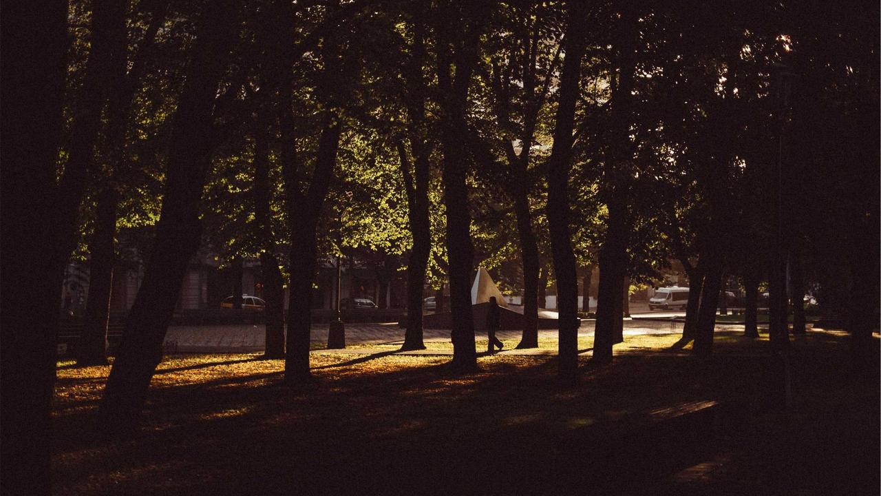 شاهد أبطالك يتألقون على الشاشة.. تردد قنوات الرياضة المجانية على نايل سات 2026 بجودة HD