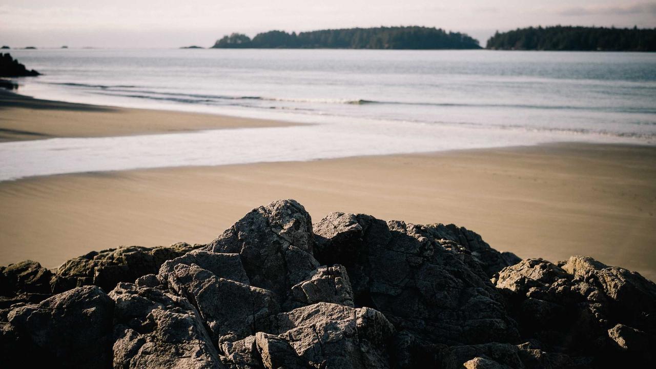 قناة ماجد تكشف سر المتعة التعليمية.. برامج الأطفال تجذب الآلاف بأغاني ملونة