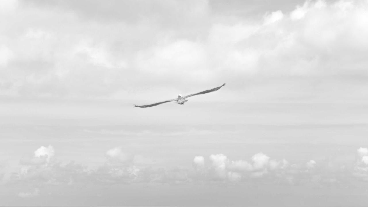 شاهد بطولاتك المفضلة بجودة فائقة.. تردد قناة الشارقة الرياضية 2026 الجديد على النايل سات