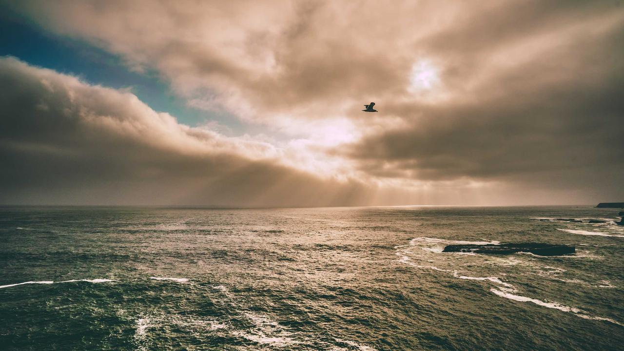 لا تضيّع وقتك.. تسجيل دخول منصة مدرستي بأمان وسرعة فائقة للطلاب والمعلمين رسمياً