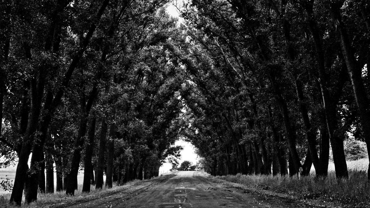 أسعار الذهب اليوم: صدمة أم فرصة؟ آراء الشارع المصري تكشف عن اتجاه استثماراتكم المستقبلية